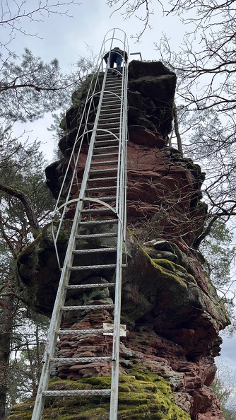 24-03-01 13-40-35 2349.jpeg